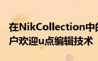 在NikCollection中的本地编辑工具特别受用户欢迎u点编辑技术