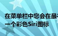 在菜单栏中您会在最右侧的通知图标旁边看到一个彩色Siri图标