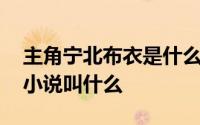 主角宁北布衣是什么小说 主角是宁北布衣的小说叫什么