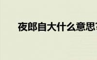 夜郎自大什么意思?夜郎自大典故介绍
