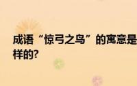 成语“惊弓之鸟”的寓意是什么?惊弓之鸟之鸟的故事是怎样的?