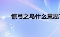 惊弓之鸟什么意思?惊弓之鸟典故介绍