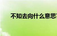 不知去向什么意思?不知去向典故介绍