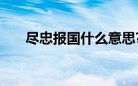 尽忠报国什么意思?尽忠报国典故介绍