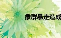 象群暴走造成损失谁来买单
