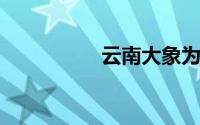 云南大象为何集体迁徙