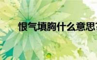 恨气填胸什么意思?恨气填胸典故介绍