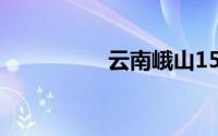 云南峨山15头野象进城