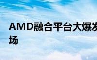 AMD融合平台大爆发11款LlanoAPU年内登场