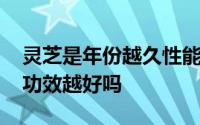 灵芝是年份越久性能越好吗 灵芝是年份越久功效越好吗