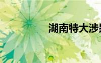 湖南特大涉黑案4人死刑