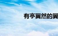 有亭翼然的翼然是什么意思