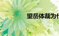 望岳体裁为什么不是律诗