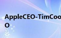 AppleCEO-TimCook夺下ExecRank最佳CEO