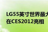 LG55英寸世界最大OLEDHDTV面板发布将在CES2012亮相
