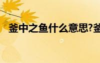 釜中之鱼什么意思?釜中之鱼典故出处介绍