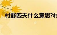 村野匹夫什么意思?村野匹夫典故出处介绍