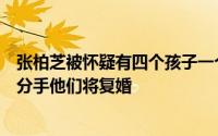 张柏芝被怀疑有四个孩子一个娱乐记录爆料谢霆锋王菲已经分手他们将复婚