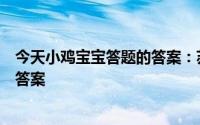 今天小鸡宝宝答题的答案：苏轼春宵一刻什么意思今日课堂答案