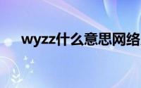 wyzz什么意思网络用语 wyzz什么意思