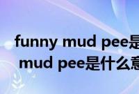 funny mud pee是什么意思中文翻译 funny mud pee是什么意思