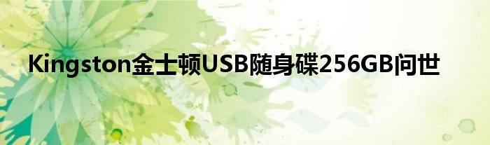 Kingston金士顿USB随身碟256GB问世