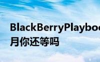 BlackBerryPlaybook2.0再度延迟至明年二月你还等吗