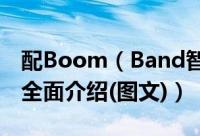 配Boom（Band智能手环 TCL idol X+评测全面介绍(图文)）
