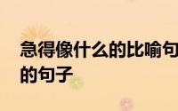 急得像什么的比喻句 有哪些关于急得像什么的句子