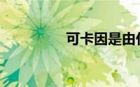 可卡因是由什么制成的？