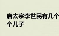 唐太宗李世民有几个杨妃 唐太宗李世民有几个儿子