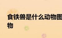 食铁兽是什么动物图片大全 食铁兽是什么动物