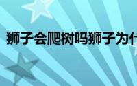 狮子会爬树吗狮子为什么挖树 狮子会爬树吗
