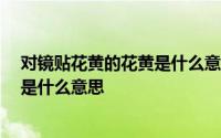 对镜贴花黄的花黄是什么意思 蚂蚁庄园 对镜贴花黄的花黄是什么意思