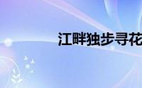 江畔独步寻花的诗意是什么