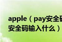 apple（pay安全码是什么意思  apple pay安全码输入什么）