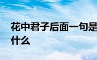 花中君子后面一句是什么 花中君子下一句是什么