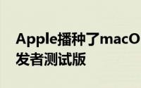 Apple播种了macOSMonterey的第二个开发者测试版