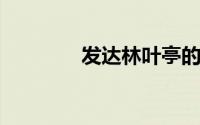 发达林叶亭的五种最新发型