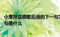 小葱拌豆腐歇后语的下一句怎么读 小葱拌豆腐歇后语的下一句是什么