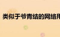 类似于爷青结的网络用语 爷青结是什么意思