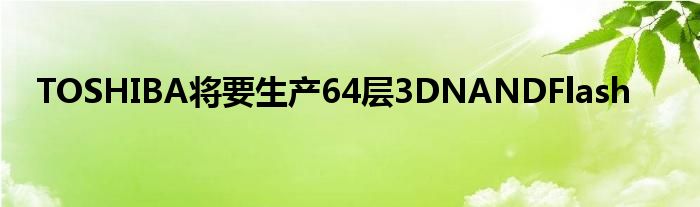 TOSHIBA将要生产64层3DNANDFlash