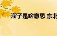 溜子是啥意思 东北话溜子是什么意思