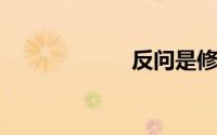 反问是修辞手法吗