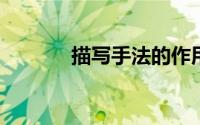 描写手法的作用以及答题格式