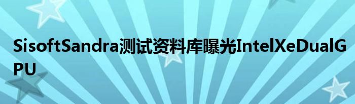SisoftSandra测试资料库曝光IntelXeDualGPU