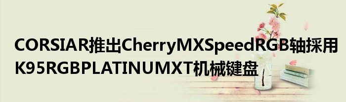 CORSIAR推出CherryMXSpeedRGB轴採用K95RGBPLATINUMXT机械键盘