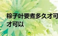 粽子叶要煮多久才可以视频 粽子叶要煮多久才可以