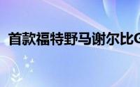 首款福特野马谢尔比GT500售价110万美元
