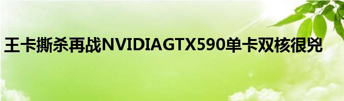 王卡撕杀再战NVIDIAGTX590单卡双核很兇